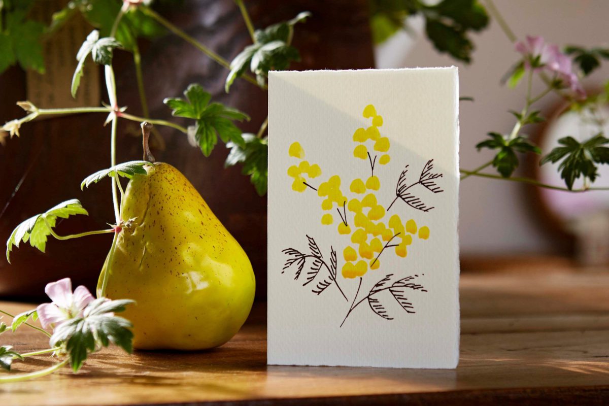 Hand-painted floral illustrated stationery from Scribble & Daub